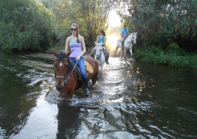 Accediendo al Tormes con los caballos